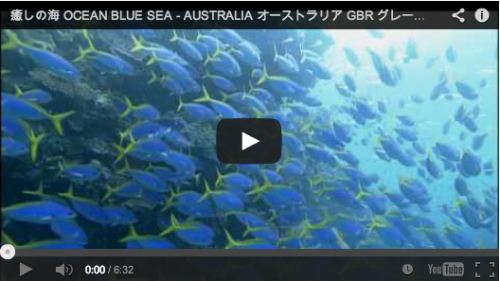癒しの海 OCEAN BLUE SEA - AUSTRALIA 