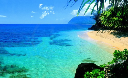 Hawaii-ocean